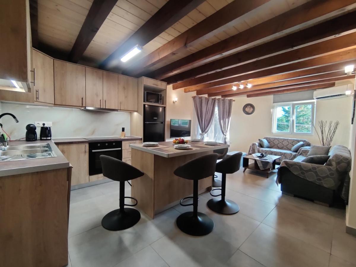 Apartment Nikitas Maisonette